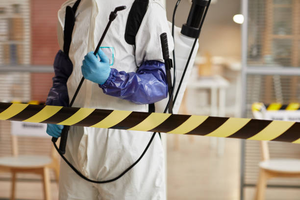 Professional Sewage Cleanup technician working in Pittsville, MD